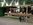 IMG-20130615-WA0009.jpg